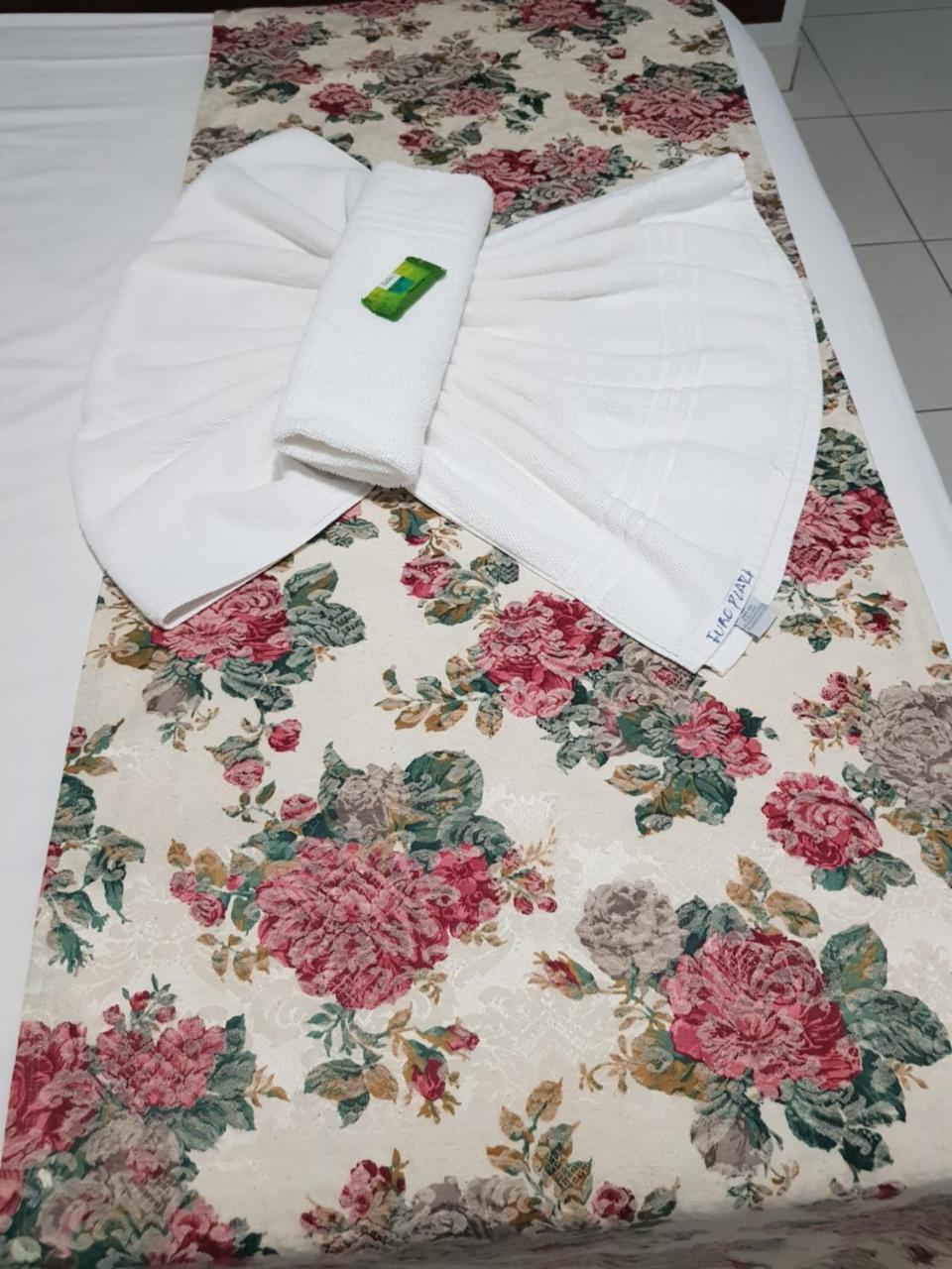 Euro Plaza Hotel - Proximo Ao Aeroporto De Goiania, Santa Genoveva Екстер'єр фото
